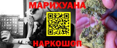 гидра Будённовск